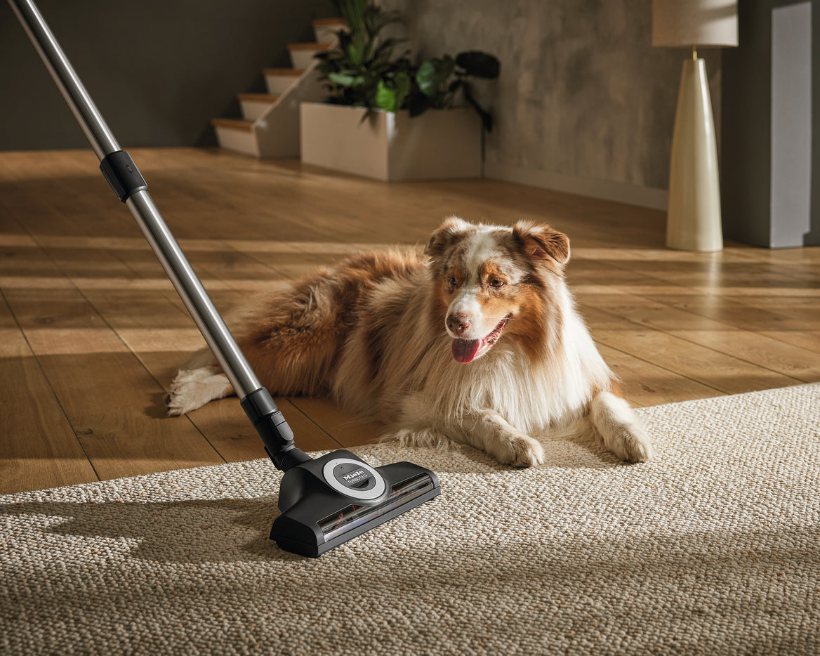 GUARD M1 CAT&DOG - bagged vacuum cleaner
