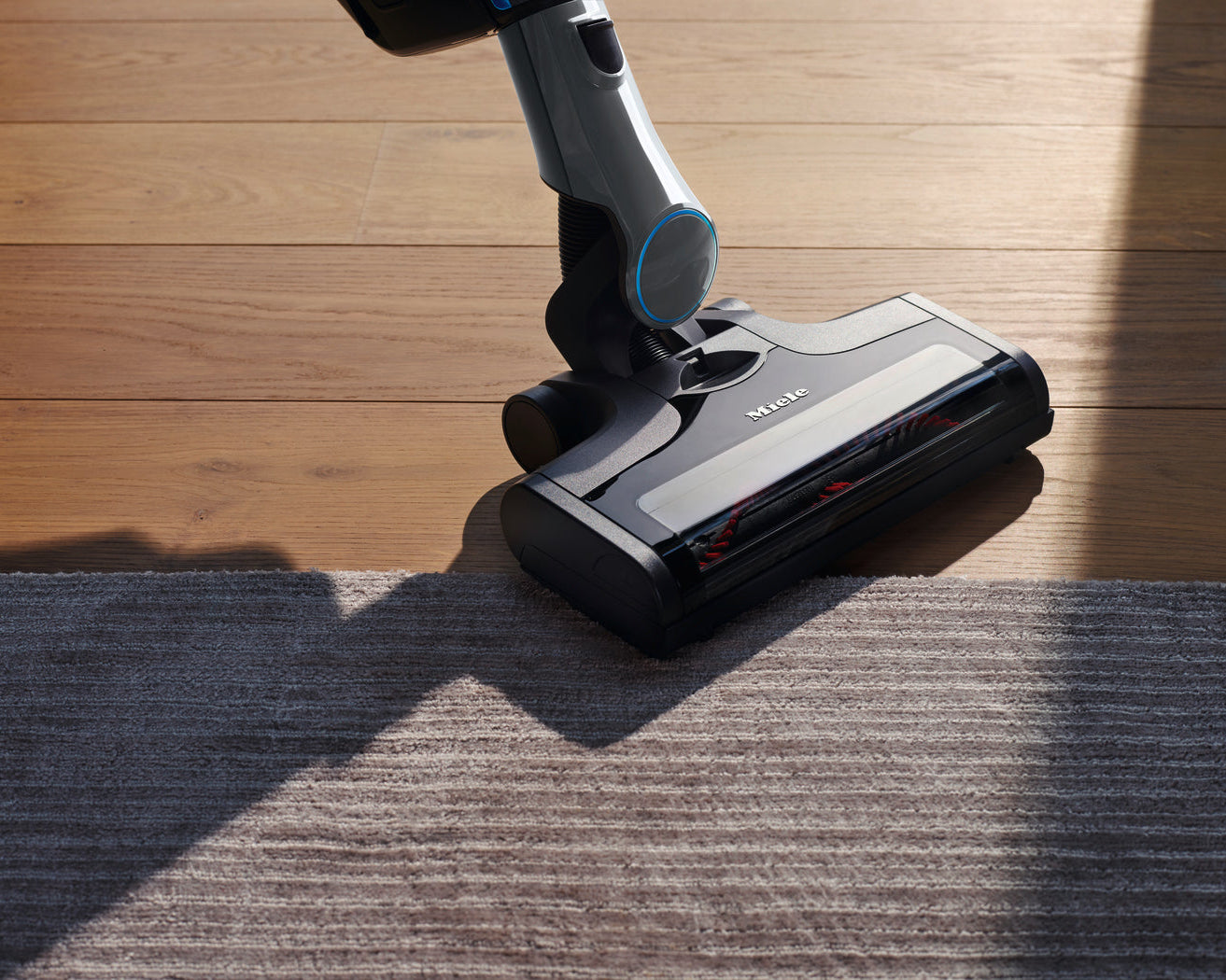 TRIFLEX HX 1 - Handheld vacuum cleaner