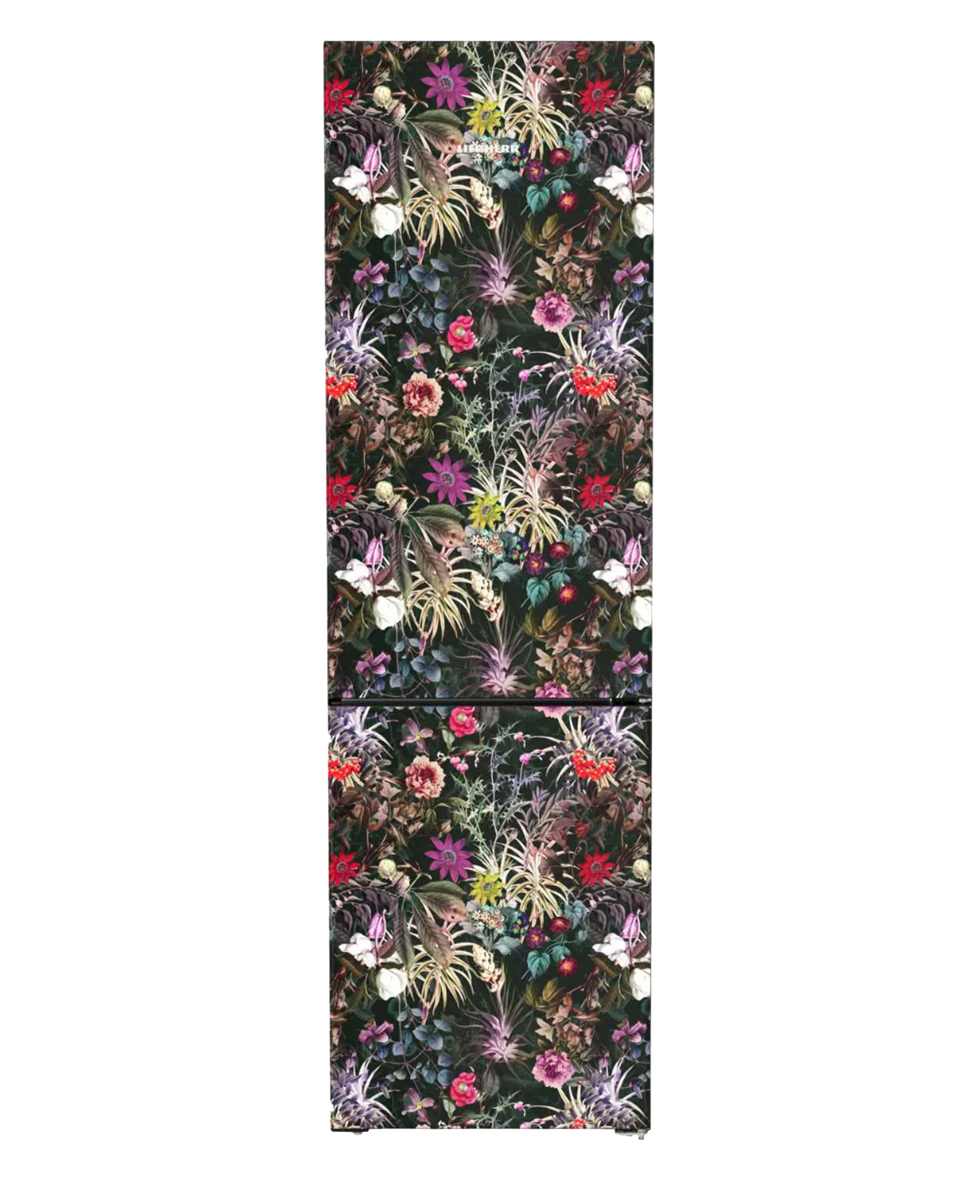 CBNdmy 5723 Plus